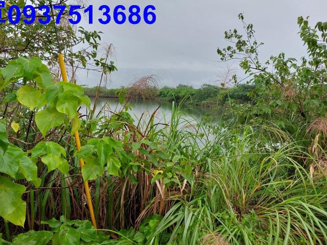 宜蘭礁溪農地-8