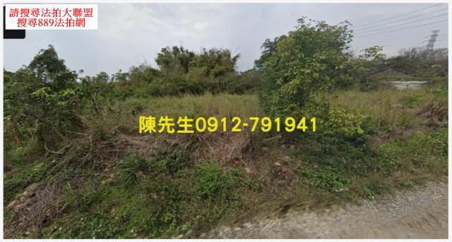 通霄法拍農地-9