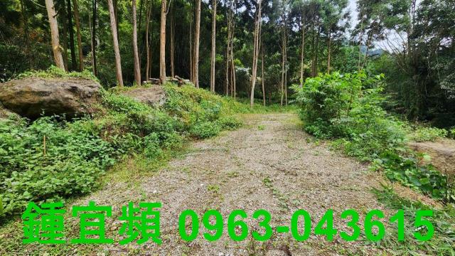 新竹北埔農地-8