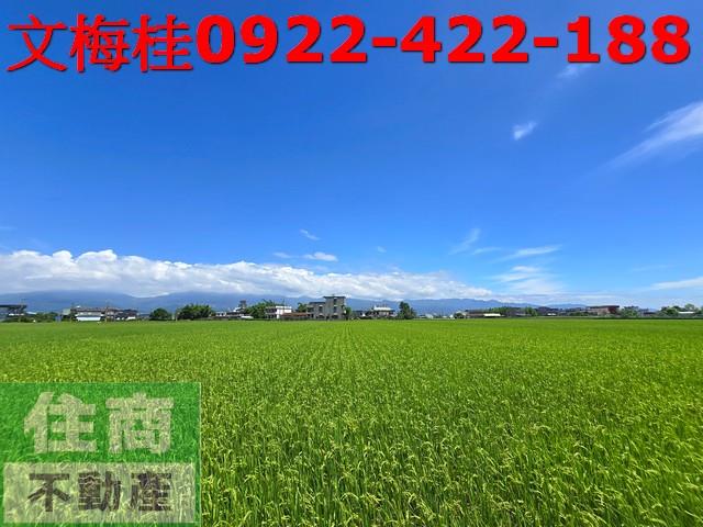 宜蘭壯圍農地-6