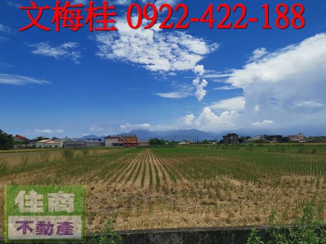 宜蘭壯圍農地-3