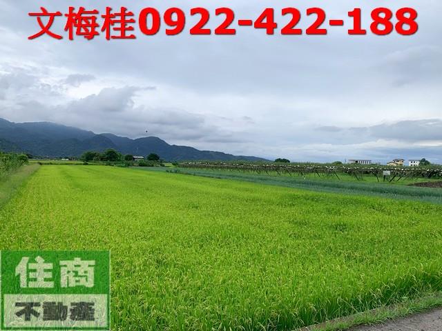 宜蘭三星農地-1