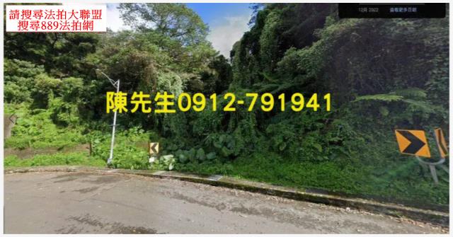 大溪法拍林地-1