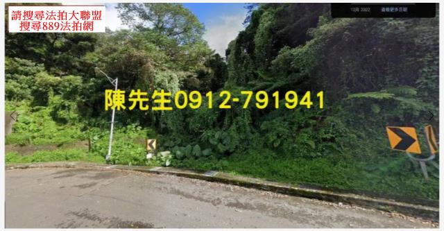 大溪法拍林地-8