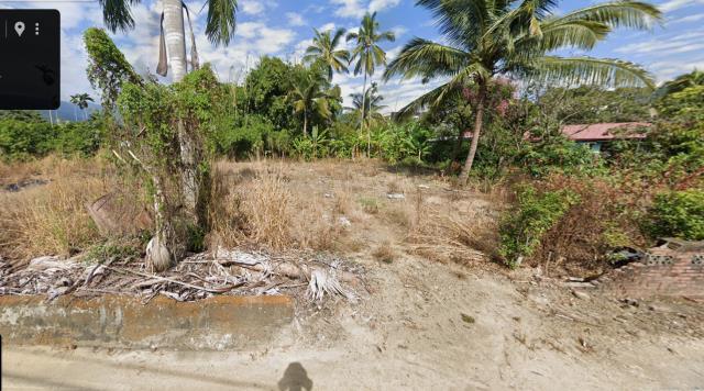 嘉義建地法拍-9