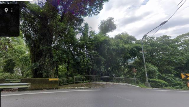 桃園大溪法拍林地-15