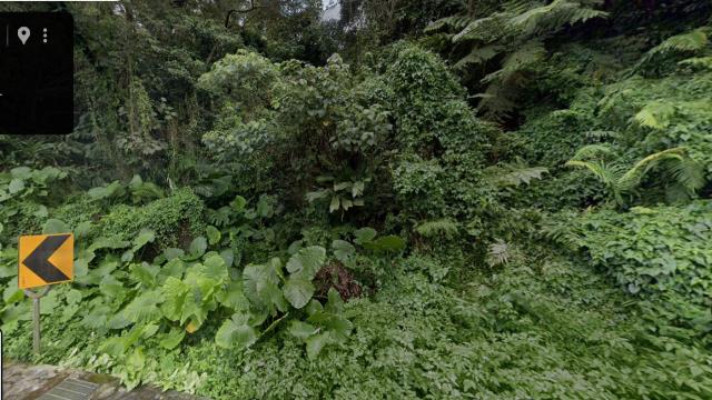 桃園大溪法拍林地-1