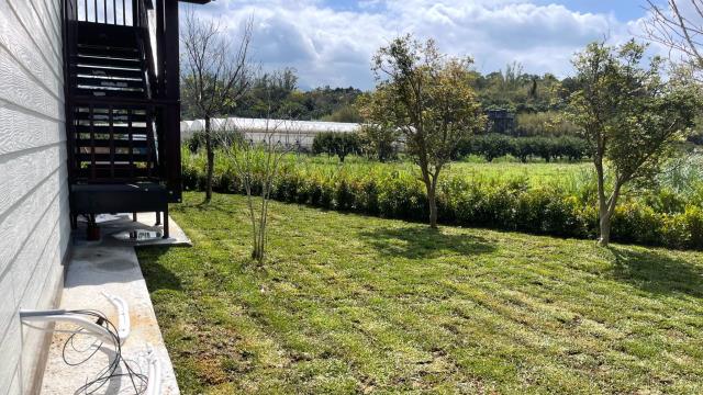 新竹峨眉農地-11