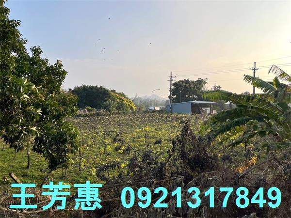 台中后里農地-10