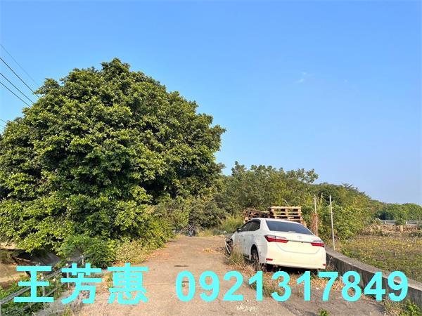 台中后里農地-1