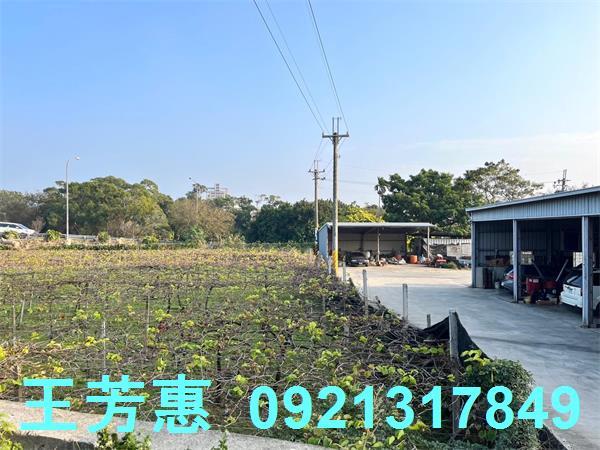 台中后里農地-2