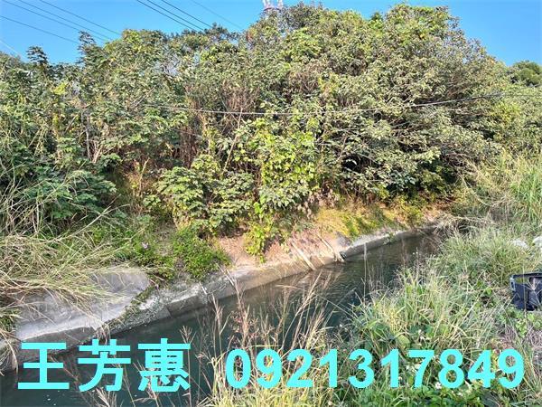 台中后里農地-3