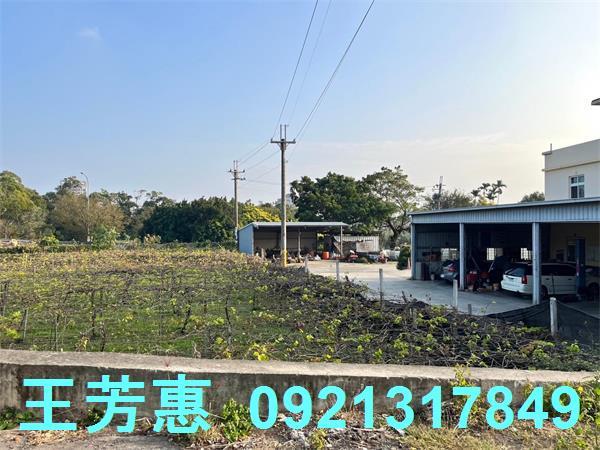 台中后里農地-8