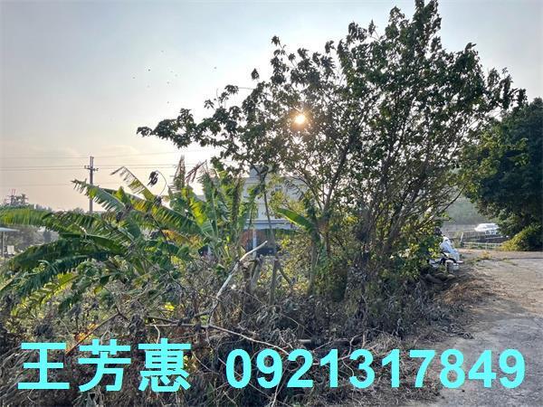 台中后里農地-9