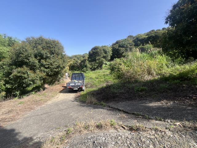 台中太平農地-10