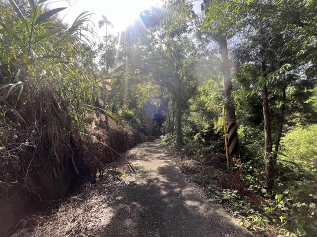 台中太平農地-7