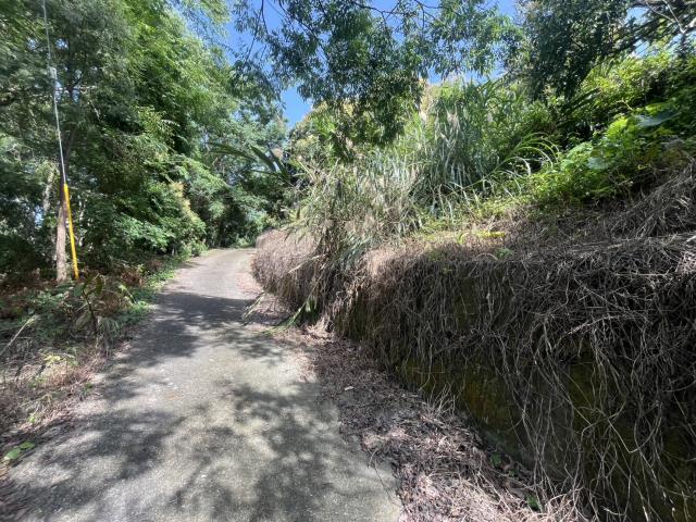 台中太平農地-8