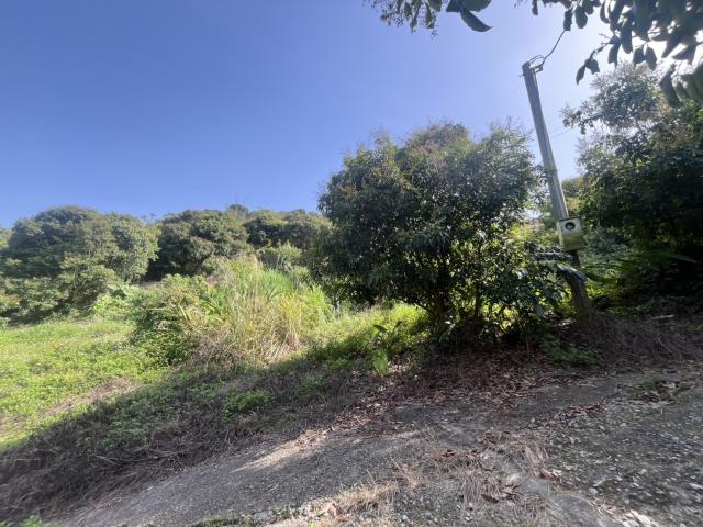 台中太平農地-9