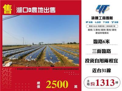 湖口農地-1