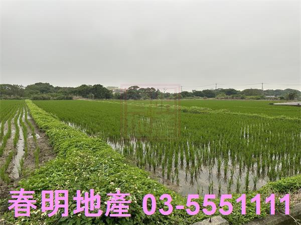 新豐農地-2