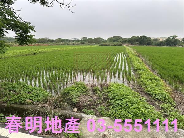新豐農地-4
