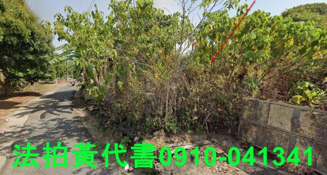 高雄田寮法拍農地-6