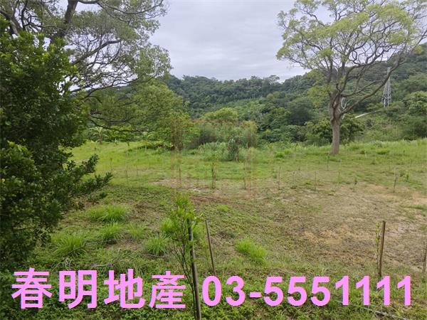 苗栗三灣農地-10