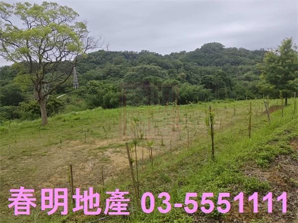 苗栗三灣農地-11