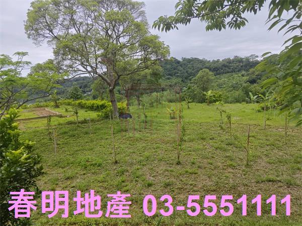 苗栗三灣農地-12