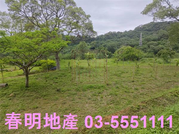 苗栗三灣農地-14