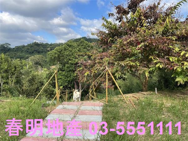 苗栗三灣農地-3