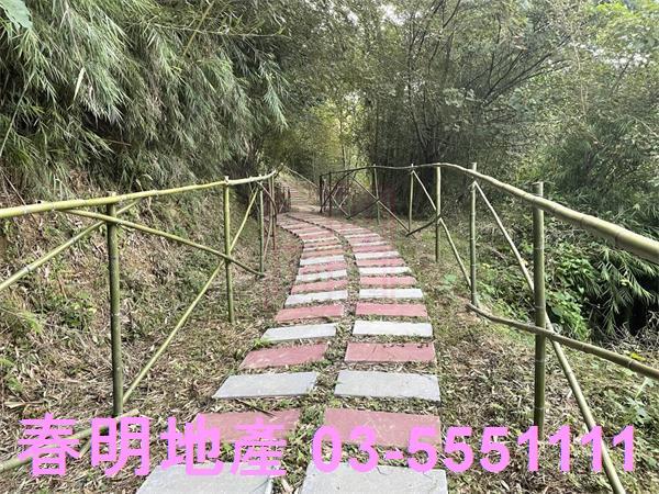 苗栗三灣農地-5