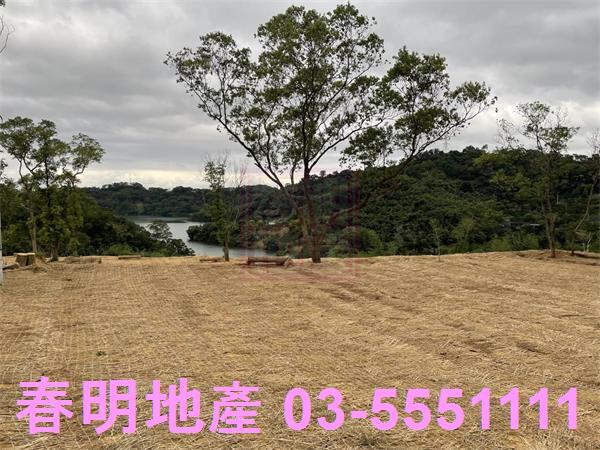 苗栗三灣農地-6