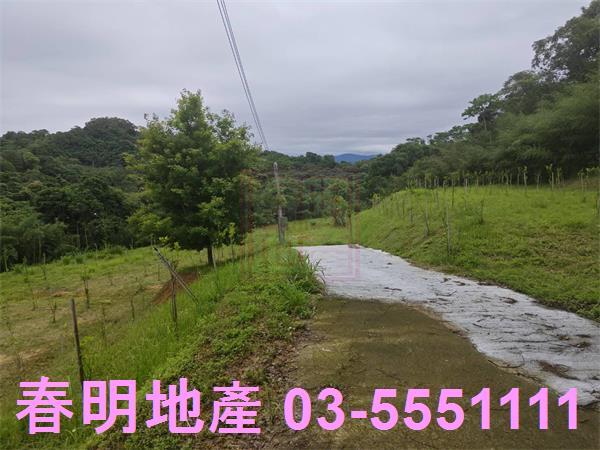 苗栗三灣農地-7