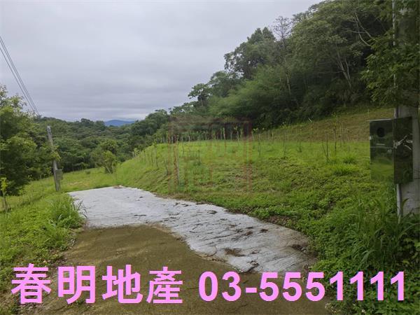 苗栗三灣農地-8