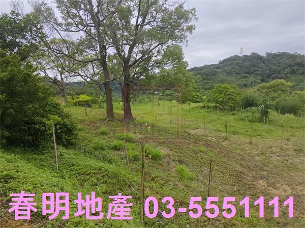 苗栗三灣農地-9