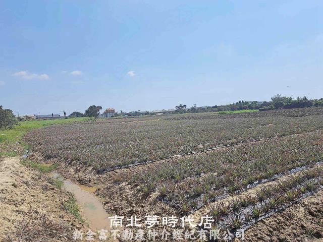 關廟農地-5