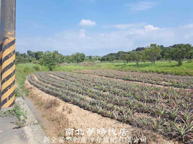 關廟農地-8
