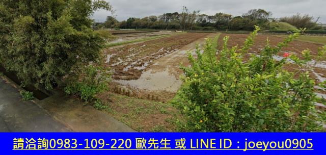 新竹新豐農地法拍-4