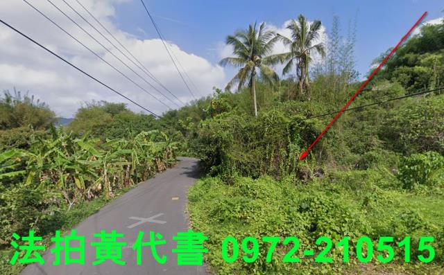 內門建地法拍-12