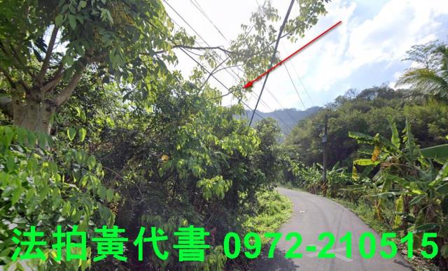 內門建地法拍-5