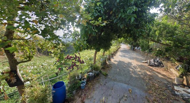 台中法拍農地-12