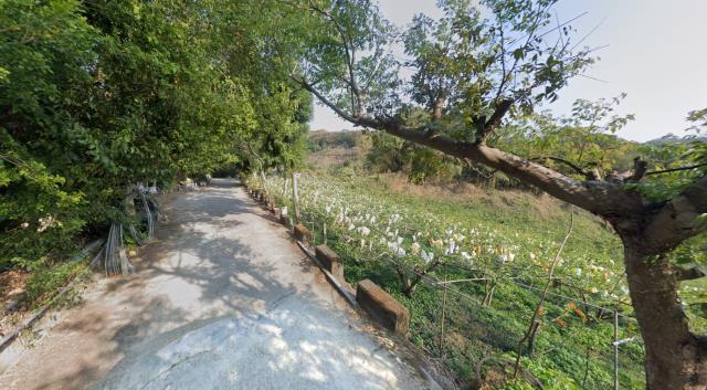 台中法拍農地-13