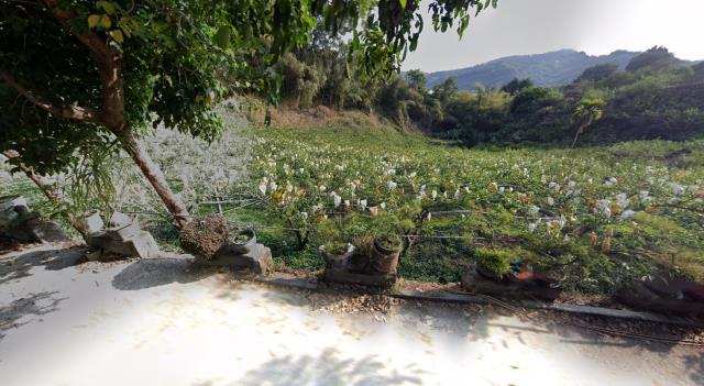 台中法拍農地-9