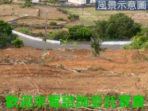 新北淡水農地-13