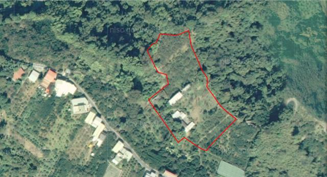 台中石岡法拍農地-10