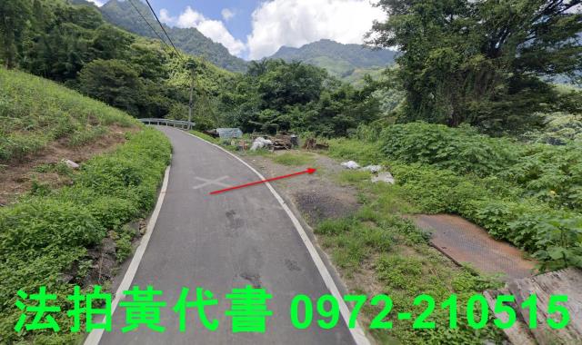 苗栗法拍建地-13