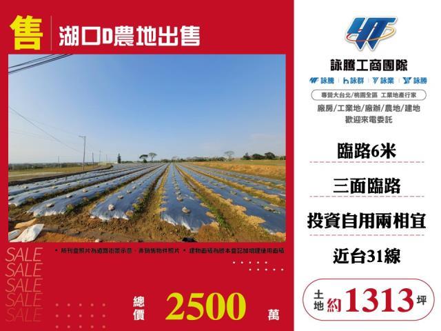 新竹湖口農地-1