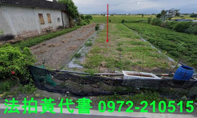 壯圍法拍建地-1