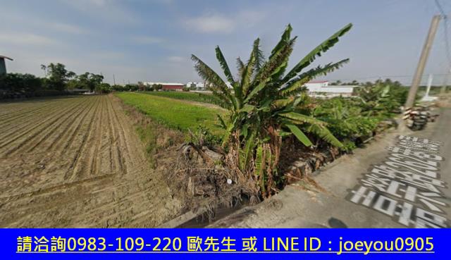 台南安定農地法拍-4